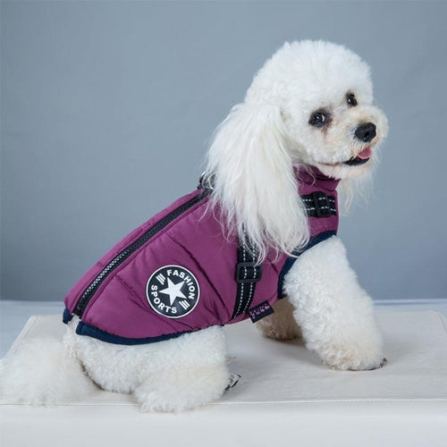 Pet Fashionista Dog Vest