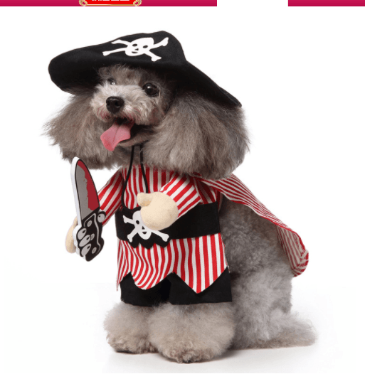 Funny Cosplay Pet Costume Set: Cute Cartoon Dog Outfit For Halloween