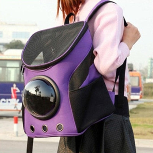 Adventure Paws Portable Pet Carrier