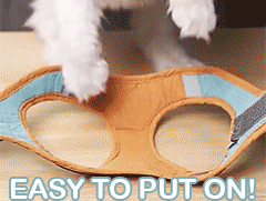 Reflective Vest Pet Harnesses With Leash Set