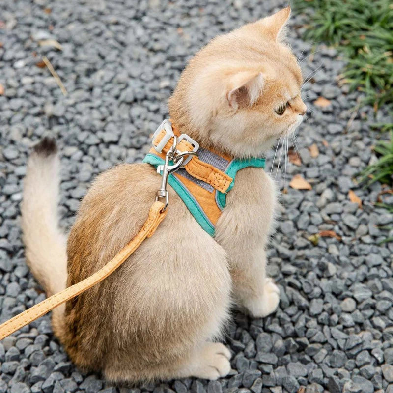 Reflective Vest Pet Harnesses With Leash Set