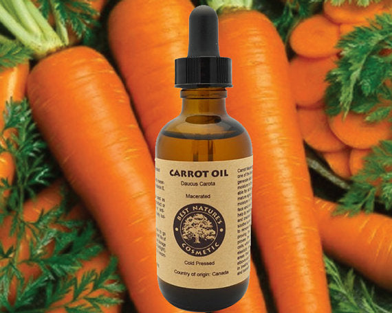 Carrot Oil (Macerated) for Dry & Mature Skin