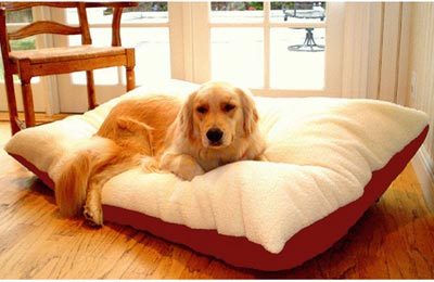 Extra Large Rectangle Pet Bed