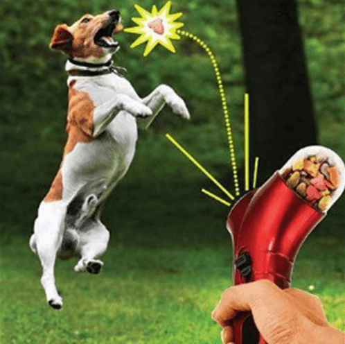 Portable Pet Food Treat Blaster Feeder