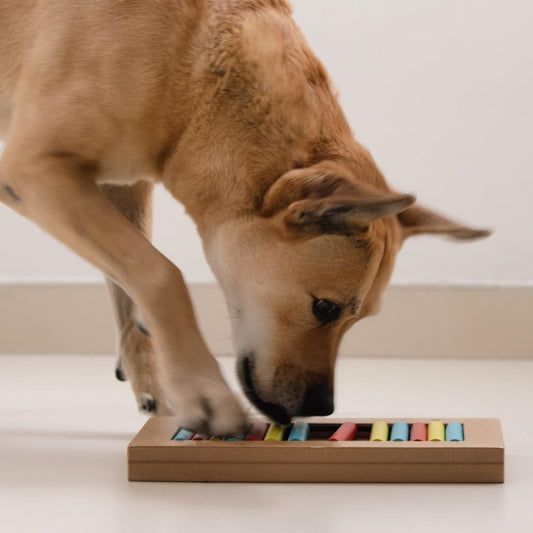 Brainiac Rollie-Pollie Treat Dispensing Pet Toy