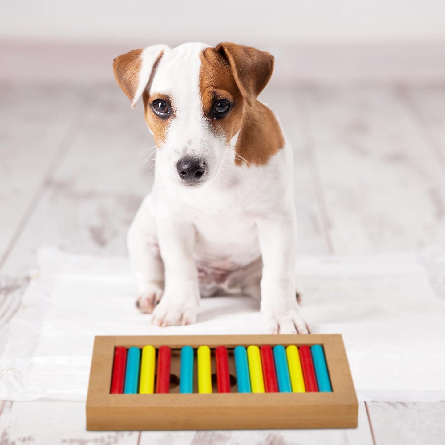 Brainiac Rollie-Pollie Treat Dispensing Pet Toy