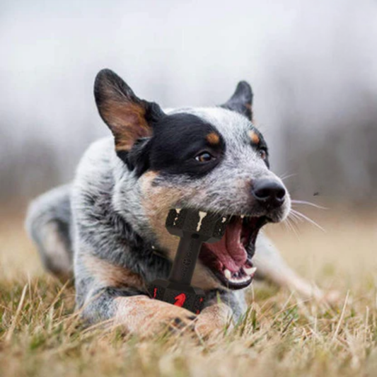 Pet Chew Toys for Aggressive Dogs