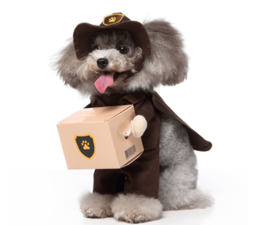 Funny Cosplay Pet Costume Set: Cute Cartoon Dog Outfit For Halloween