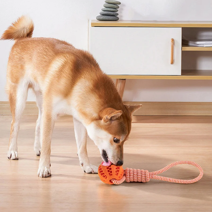 Durable Rubber Ball Chew Toy with Cotton Rope