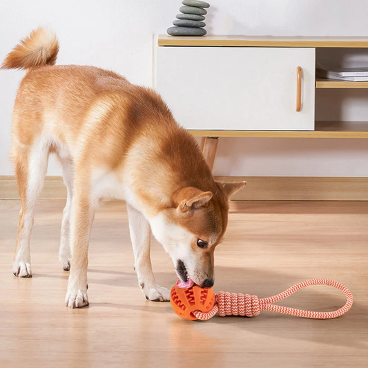 Durable Rubber Ball Chew Toy with Cotton Rope