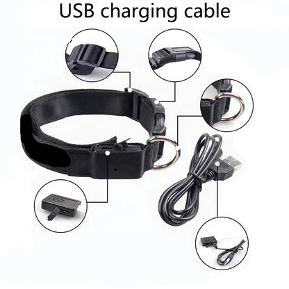 USB Rechargeable LED Pet Dog Collar