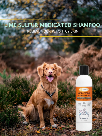 Care & Veterinary Solution Safe for Pet
