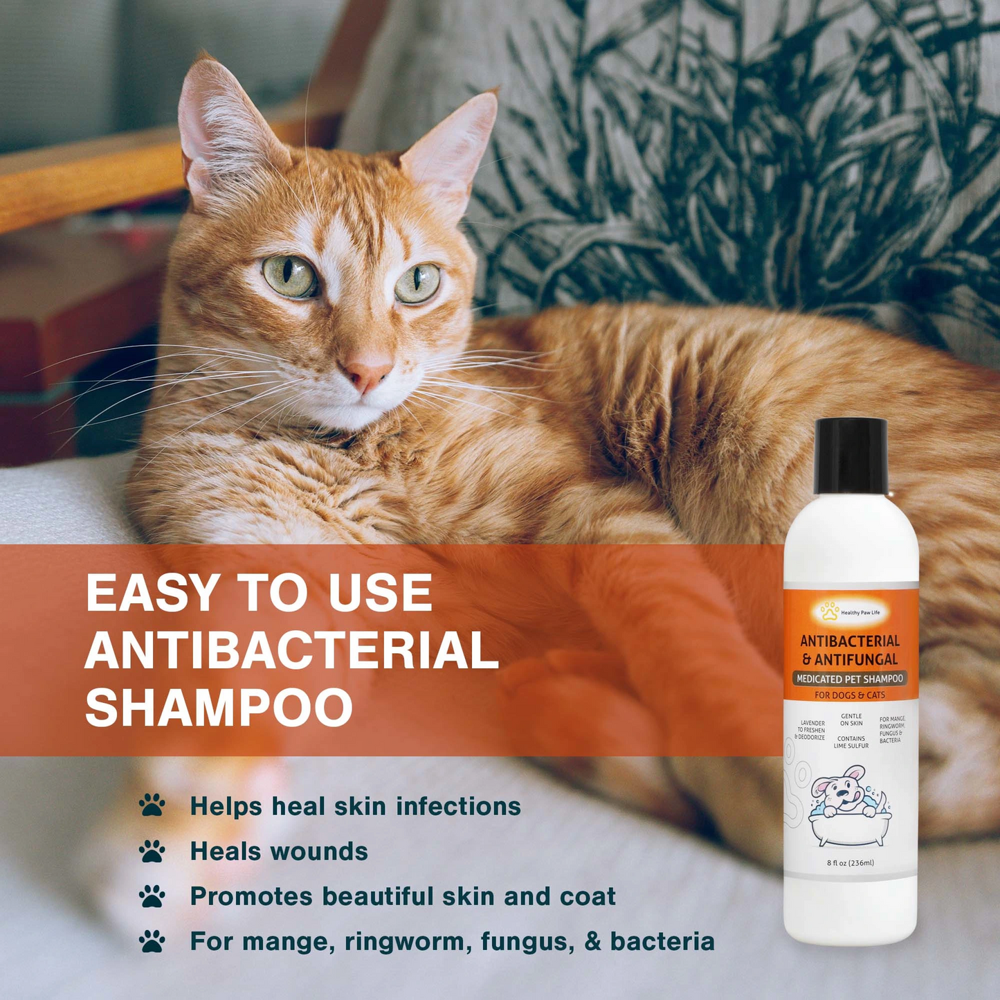Care & Veterinary Solution Safe for Pet