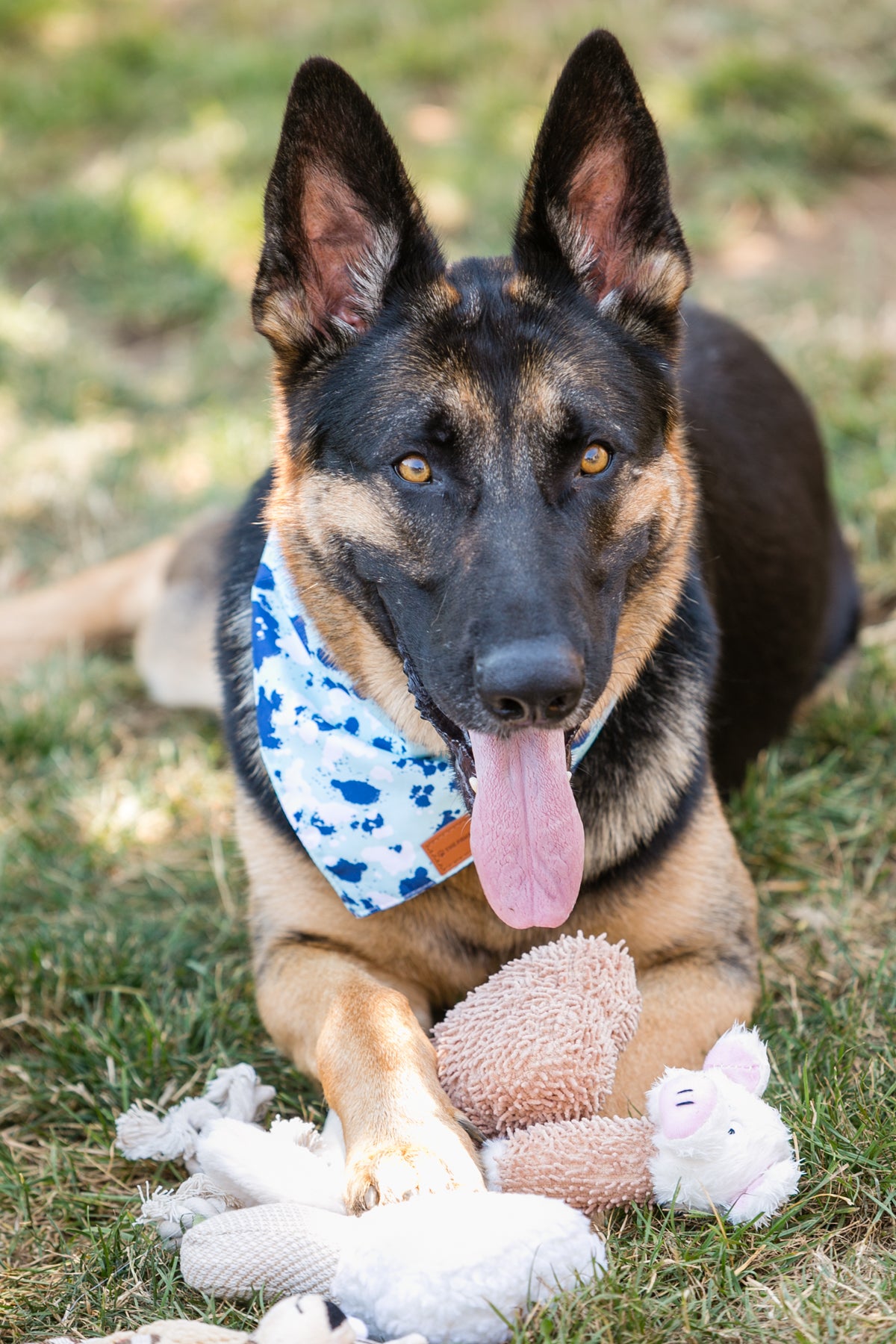 Adorable Dog Plush Toys Set