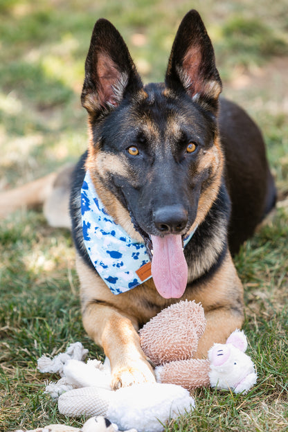 Adorable Dog Plush Toys Set