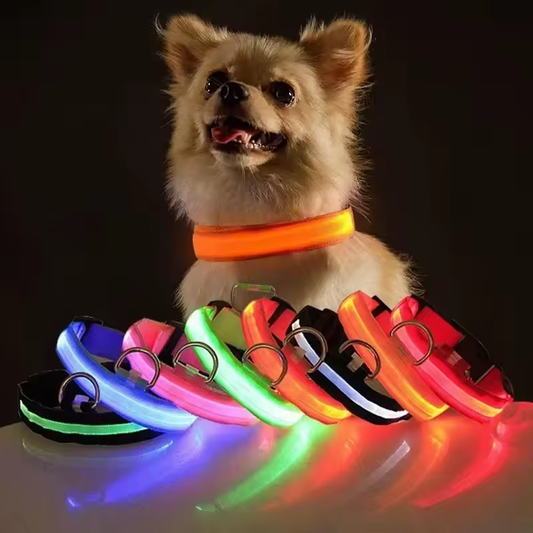 USB Rechargeable LED Pet Dog Collar