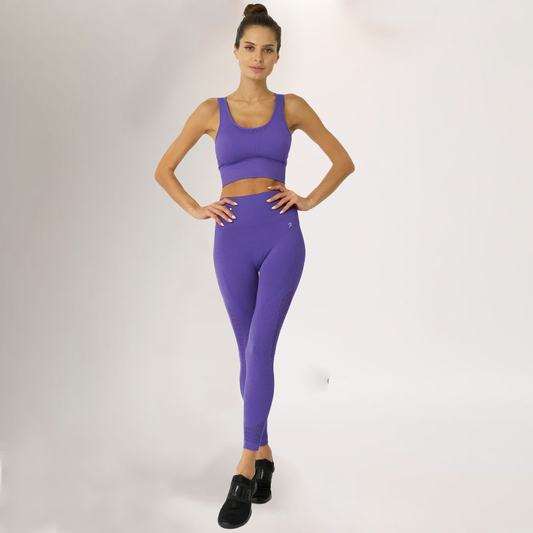 Sportswear Mesh Seamless Yoga Set