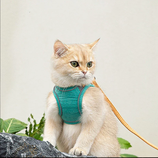 Reflective Vest Pet Harnesses With Leash Set