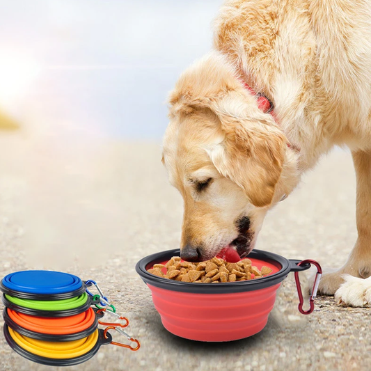 Collapsible Dog Bowls